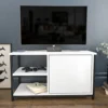 Decorotika Muskegon TV Stand TV Unit For TV's Up To 63 Inch -Furniture Store decorotika muskegon tv stand tv unit for tv s up to 63 inch0717995539674 01c MP
